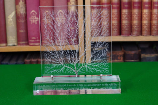 Raymond Baxter Award for Science Communication - 2002 Tomorrow's World Awards (Vintage)